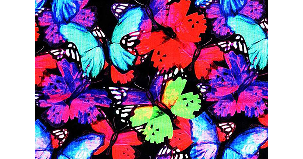 Skate Cosmic Butterfly