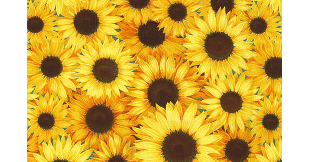 Skate Vibrant Sunflowers