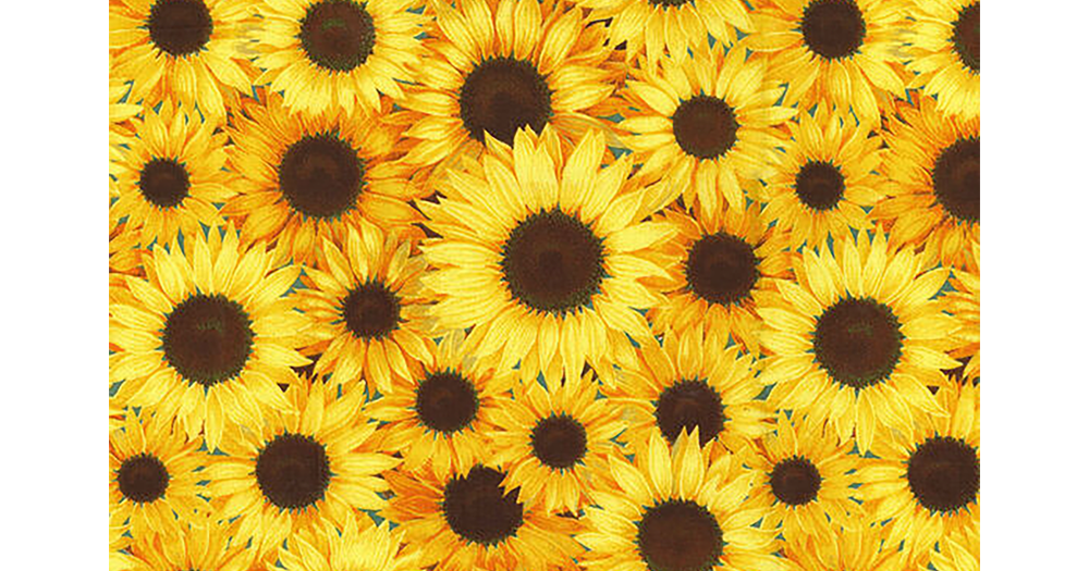 Stars Vibrant Sunflowers